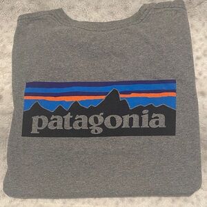 Patagonia Gray Tee with Mountain Graphic
